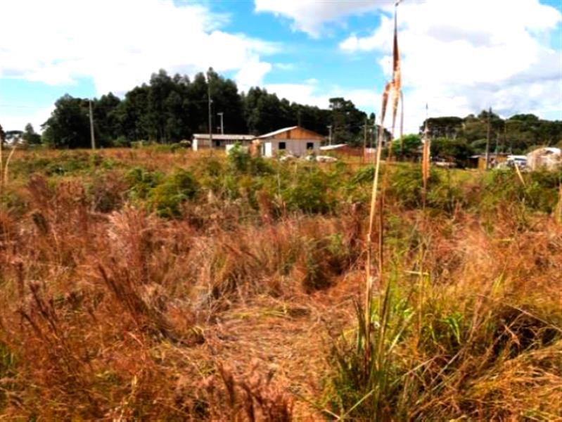 Lote n° 04, da Quadra "F", com área de 252,00 m², localizado no Residencial Colina Verde, Pinhão PR