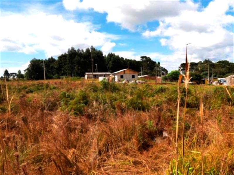 Lote n° 04, da Quadra "F", com área de 252,00 m², localizado no Residencial Colina Verde, Pinhão PR