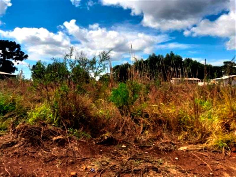 Lote n° 06, da Quadra "F", com área de 252,00 m², localizado no Residencial Colina Verde, Pinhão PR