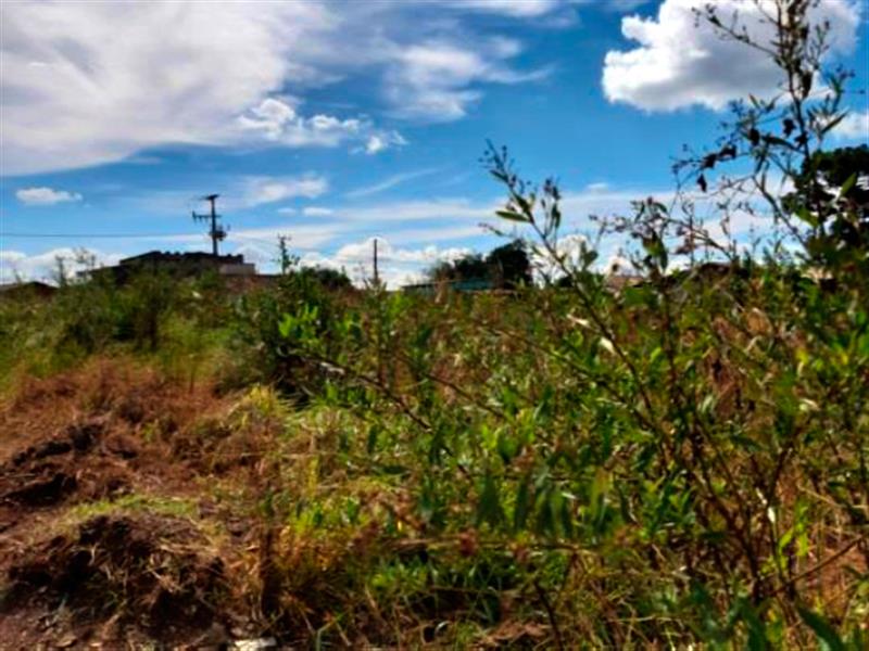 Lote n° 06, da Quadra "F", com área de 252,00 m², localizado no Residencial Colina Verde, Pinhão PR