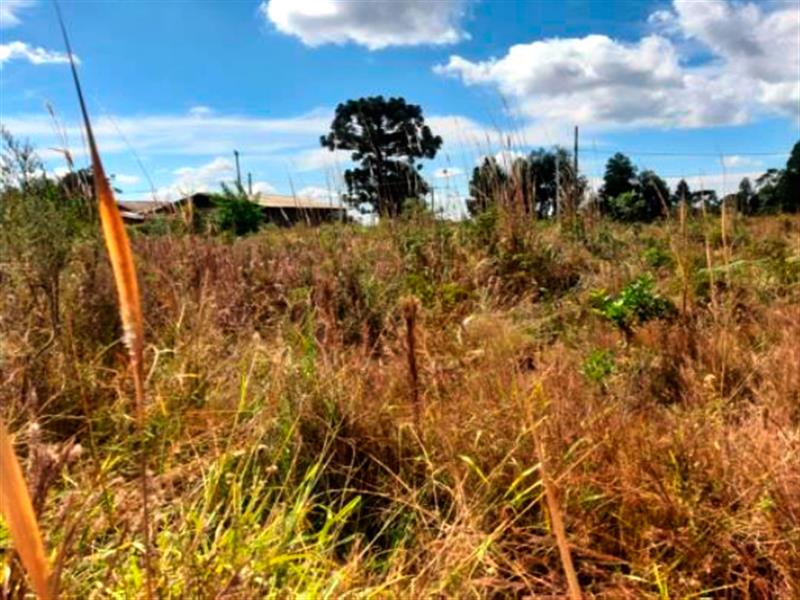 Lote n° 06, da Quadra "F", com área de 252,00 m², localizado no Residencial Colina Verde, Pinhão PR