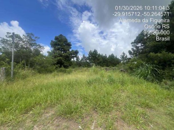 Terreno situado à Alameda da Figueira - Lote 16 Quadra 04, Bosques de Albatroz, Osório, RS. 